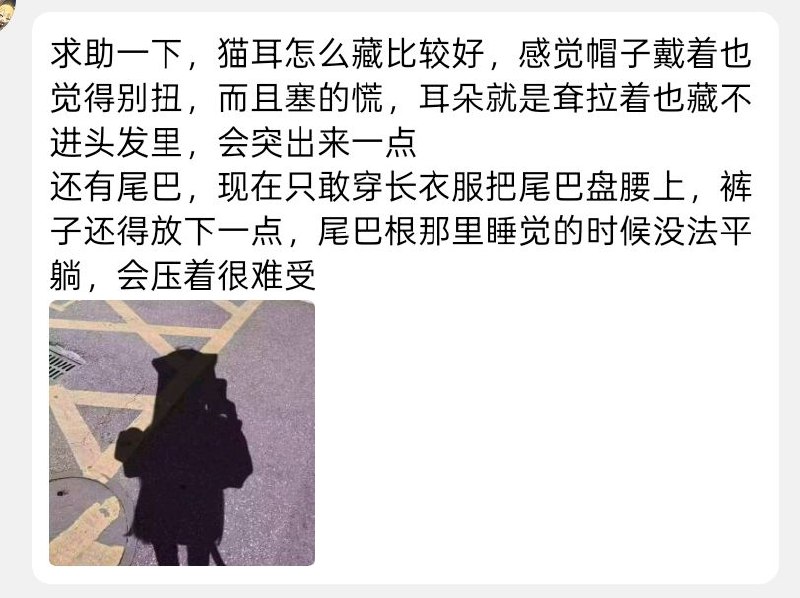 #群友逆天语录 只不过是心中渴望成为猫娘的幻想罢了