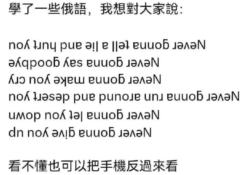 #乐子